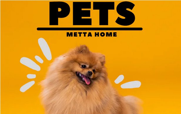 Pet - Metta Home and Technologies