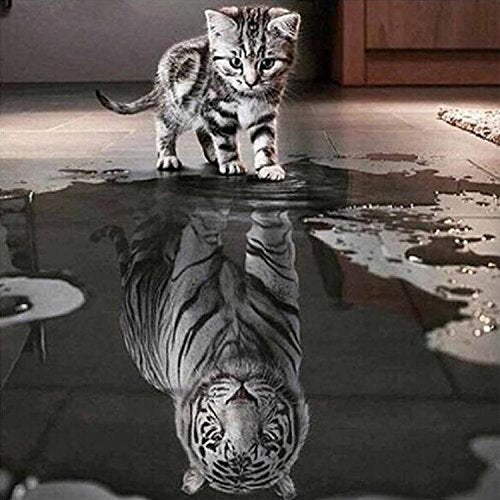 Xinchout DIY 5D Diamond Painting Kit, Full Diamond Cat and Tiger Embroidery Rhinestone Cross Stitch Arts Craft Supply for Home Wall Decor