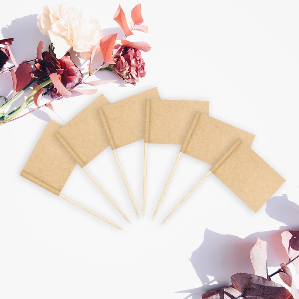 Toothpicks Flag Cheese Markers Food Labels for Party Buffet Cupcake Toppers Charcuterie Board Supplies DIY 100 Pcs Fancy Toothpicks for Appetizers
