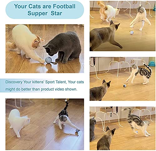 Migipaws Interactive Cat Ball Toy Set, Fun Tracker, Automatic Moving Chase Ball with Fluffy Tail, A Small Mice, Rechargeable (Orange)