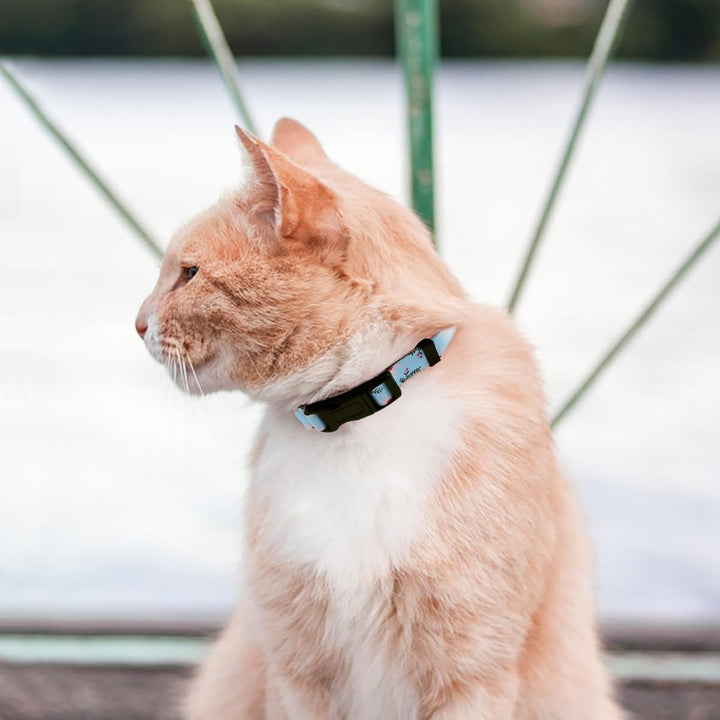 3 PCS Daisy Flower Pet Collar, lyfLux Adjustable Cute Collar for Medium Pet Cats and Dogs Daily Use (33cm/13inch~55cm/21.6inch, M)