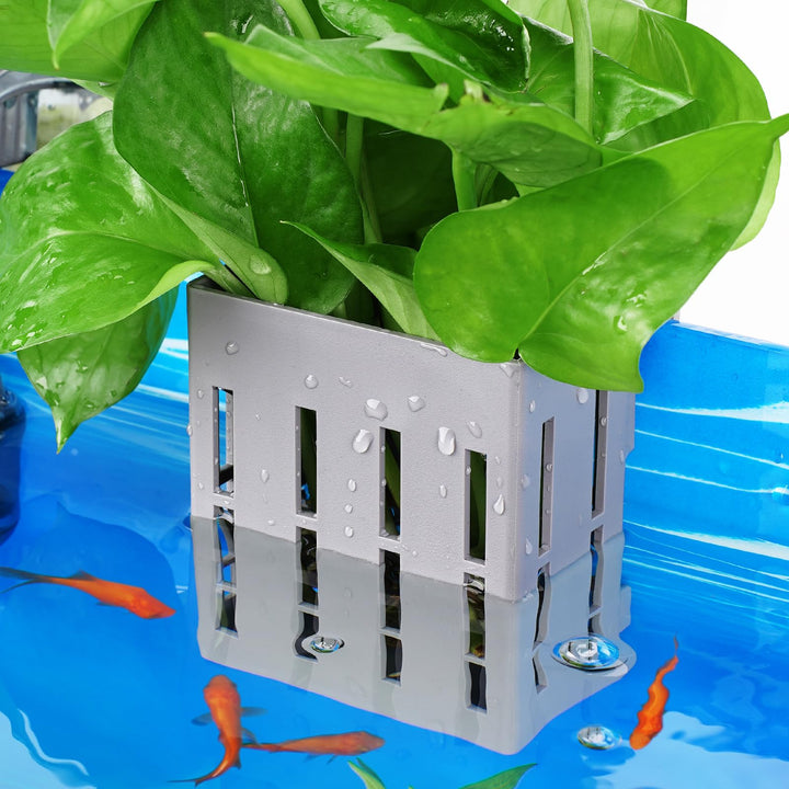 Upgraded Aquarium Plant Holder with Hooks and Suction Cups for Fish Tank Aquaponic Plants Cultivation and Aquarium Decorations (Grey)