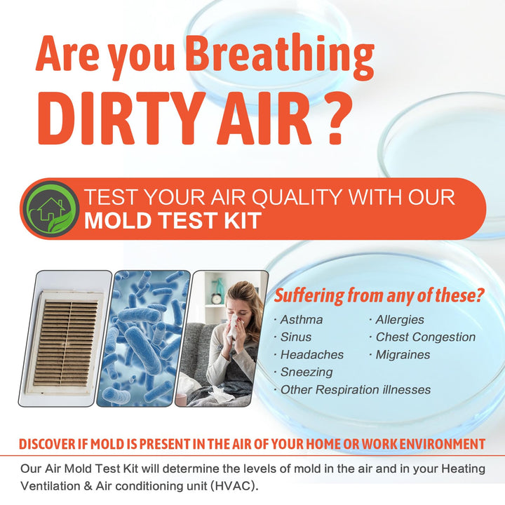 Mold Test Kit for Home Air Quality - 5 Individual DIY Home Mold Air Test Kit - Mold Detector for Home Air & Surface, HVAC Indoor Quick Mold Testing Kit for Home, Identification Guide Included