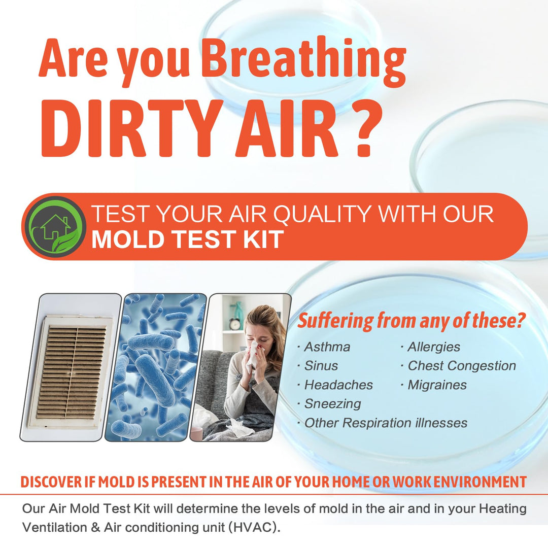 Mold Test Kit for Home Air Quality - 10 Individual DIY Home Mold Air Test Kit - Mold Detector for Home Air & Surface, HVAC Indoor Quick Mold Testing Kit for Home, Identification Guide Included