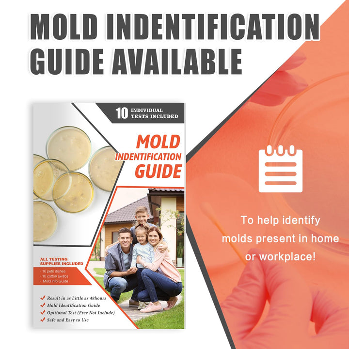 Mold Test Kit for Home Air Quality - 10 Individual DIY Home Mold Air Test Kit - Mold Detector for Home Air & Surface, HVAC Indoor Quick Mold Testing Kit for Home, Identification Guide Included