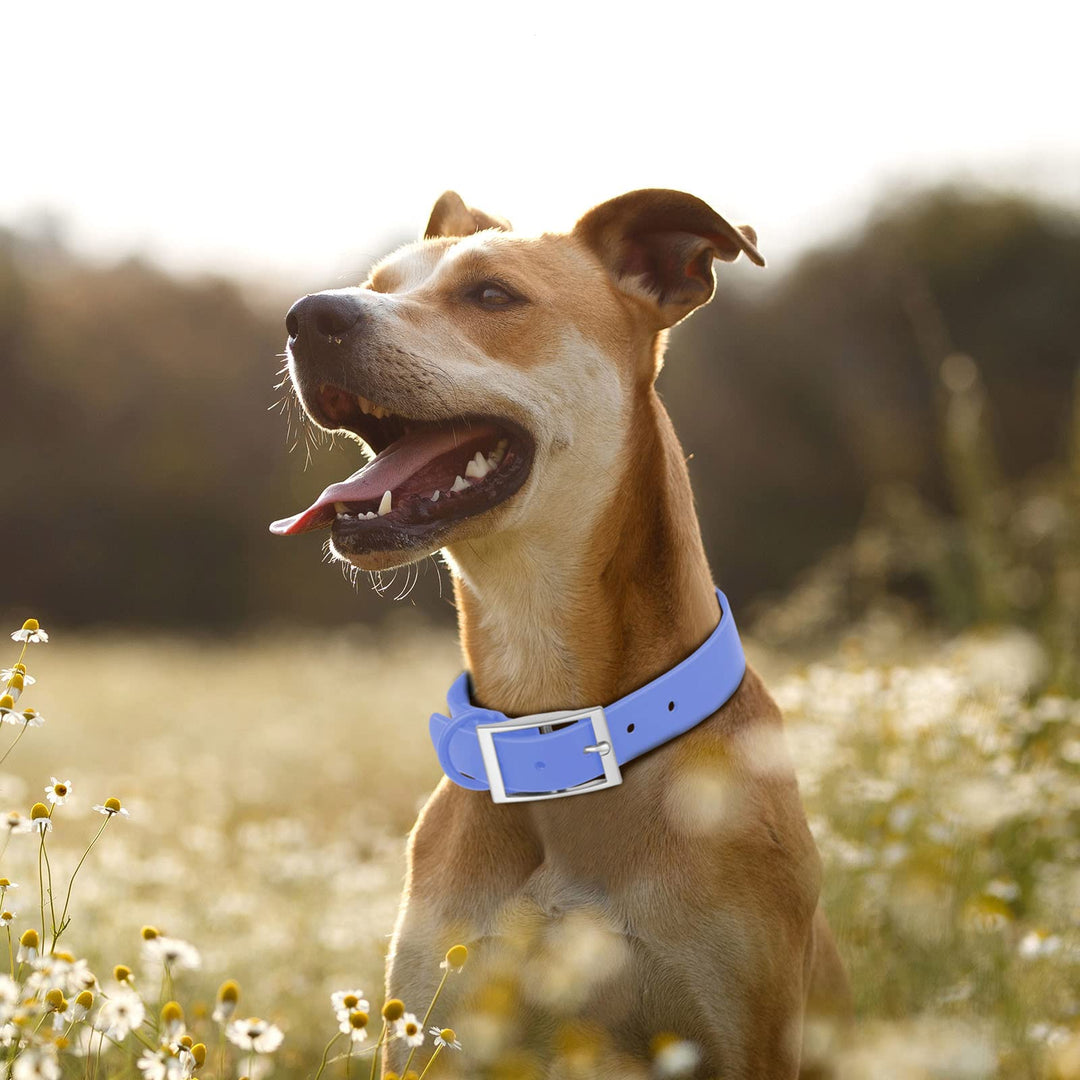 Wisedog Waterproof Dog Collar: Multiple Adjust 8.5” to 32.6”, Soft Rubber Coated Webbing, Easy to Clean, for Small Medium Large Dogs (XL(Length:18"-23.6"; Width:1"), Blue)