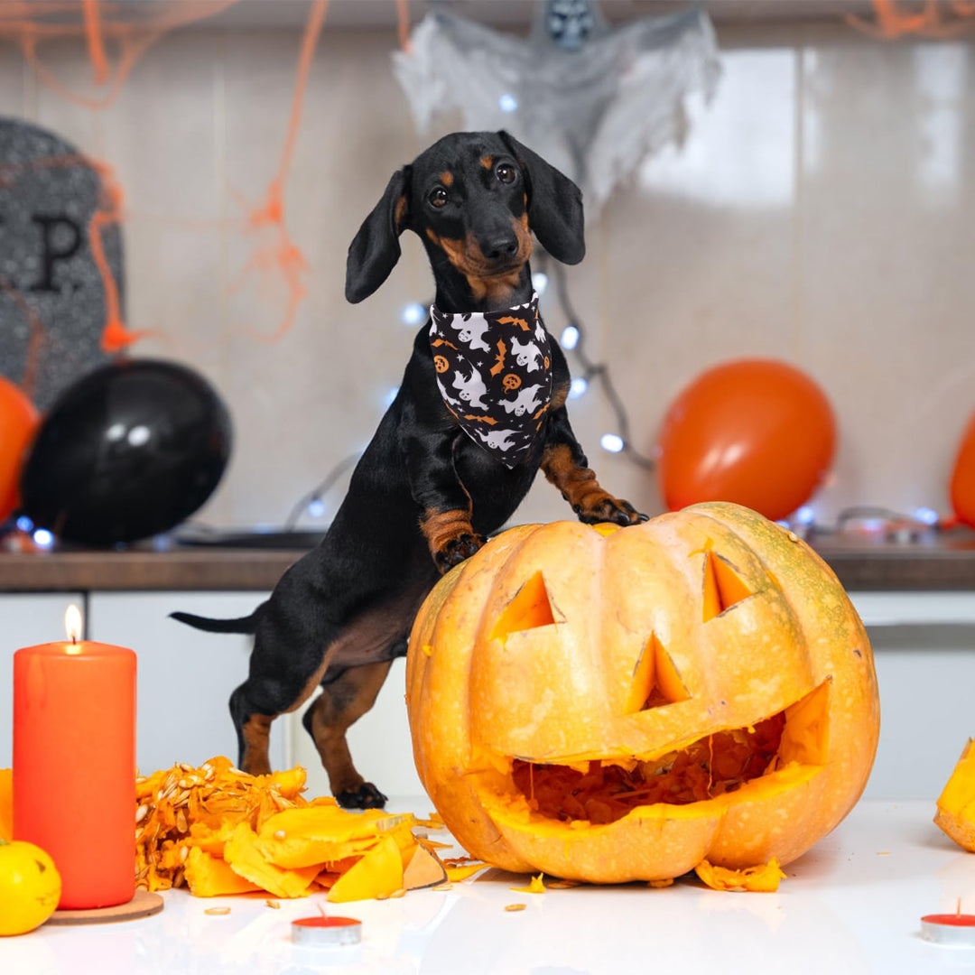3pcs Halloween Dog Bandannas, Halloween Dog Scarf Pet Triangle Scarf Bat Pumpkin Ghost Skeleton Skull Fall Pet Neckerchief for Halloween Party Dogs Cats