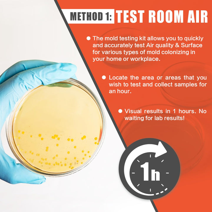 Mold Test Kit for Home Air Quality - 5 Individual DIY Home Mold Air Test Kit - Mold Detector for Home Air & Surface, HVAC Indoor Quick Mold Testing Kit for Home, Identification Guide Included