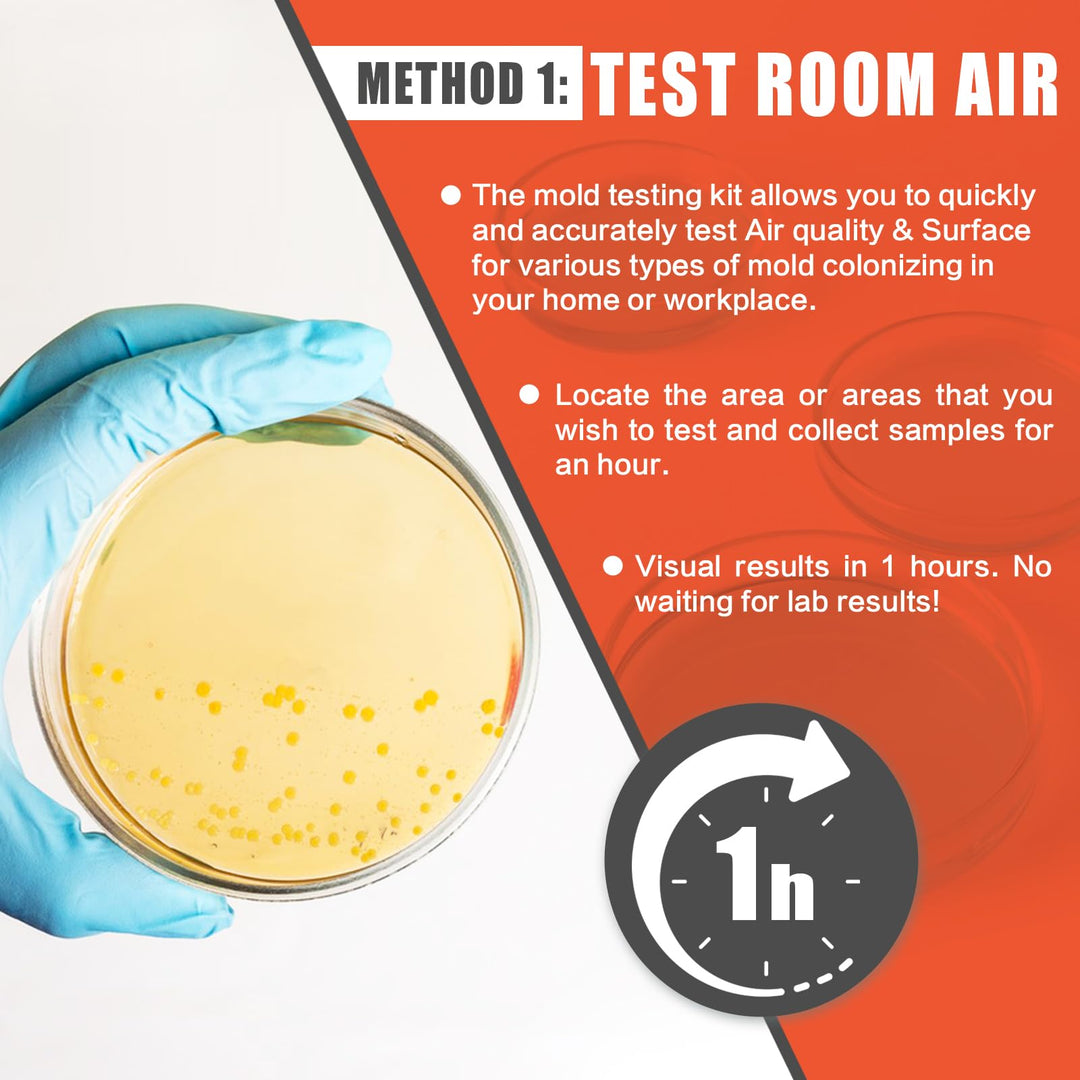 Mold Test Kit for Home Air Quality - 10 Individual DIY Home Mold Air Test Kit - Mold Detector for Home Air & Surface, HVAC Indoor Quick Mold Testing Kit for Home, Identification Guide Included