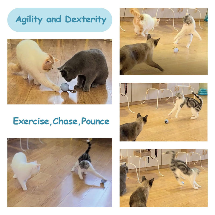 Migipaws Interactive Cat Ball Toy Set, Fun Tracker, Automatic Moving Chase Ball with Fluffy Tail, A Small Mice, Rechargeable (Orange)