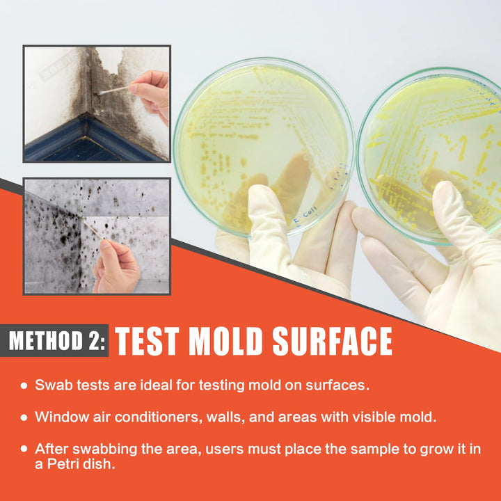 Mold Test Kit for Home Air Quality - 10 Individual DIY Home Mold Air Test Kit - Mold Detector for Home Air & Surface, HVAC Indoor Quick Mold Testing Kit for Home, Identification Guide Included