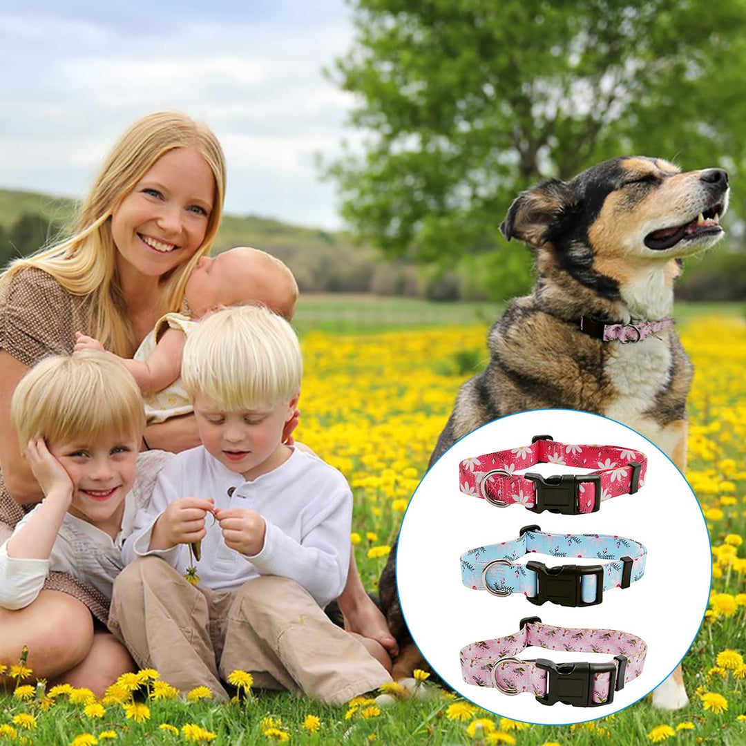 3 PCS Daisy Flower Pet Collar, lyfLux Adjustable Cute Collar for Medium Pet Cats and Dogs Daily Use (33cm/13inch~55cm/21.6inch, M)