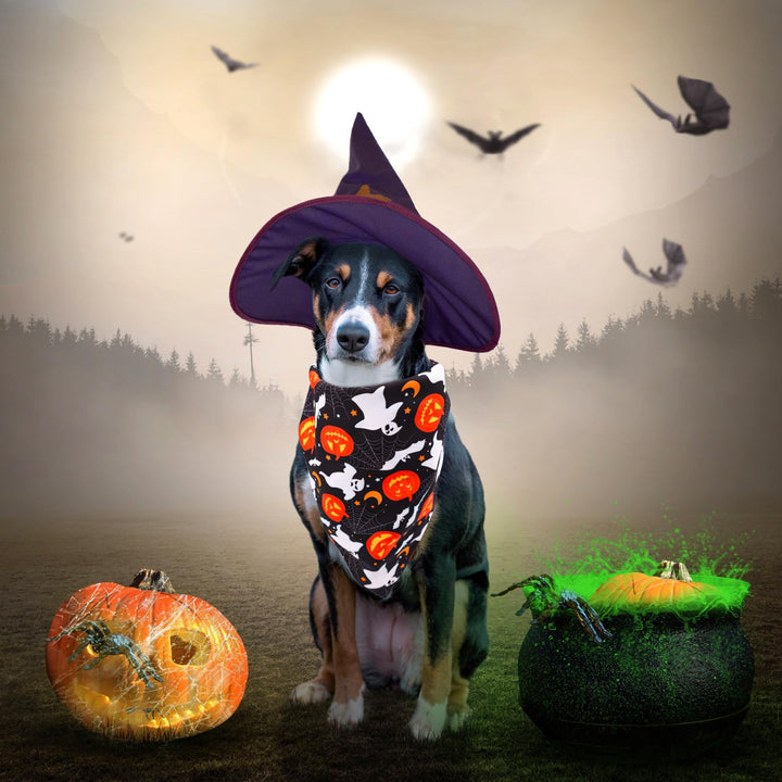 3pcs Halloween Dog Bandannas, Halloween Dog Scarf Pet Triangle Scarf Bat Pumpkin Ghost Skeleton Skull Fall Pet Neckerchief for Halloween Party Dogs Cats