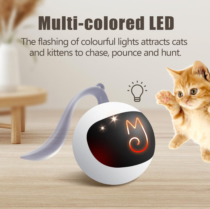 Migipaws Interactive Cat Ball Toy Set, Fun Tracker, Automatic Moving Chase Ball with Fluffy Tail, A Small Mice, Rechargeable (White)