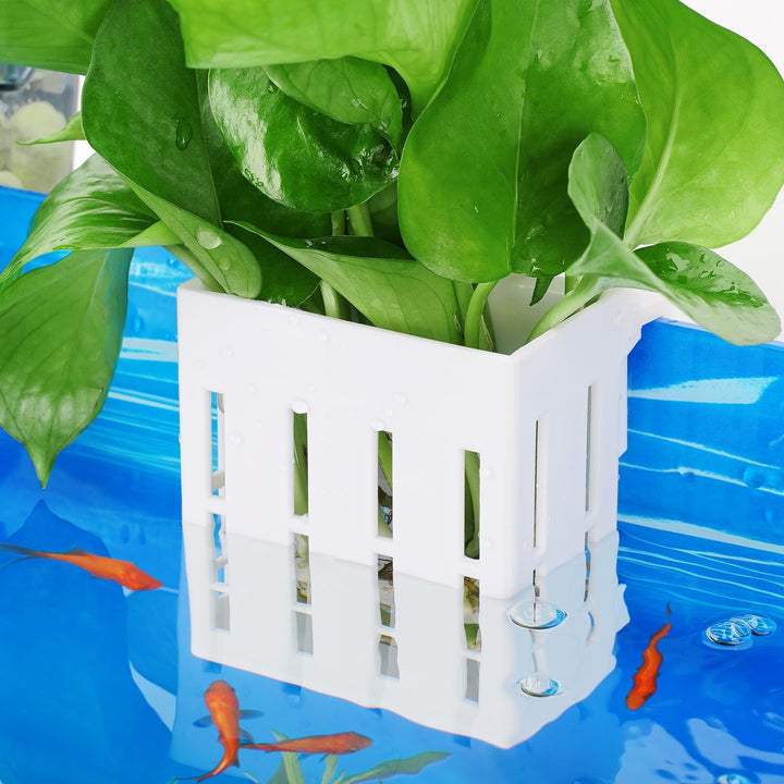 Upgraded Aquarium Plant Holder with Hooks and Suction Cups for Fish Tank Aquaponic Plants Cultivation and Aquascape Decorations (White)