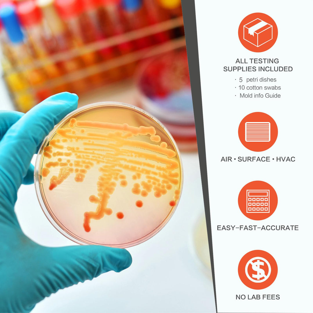 Mold Test Kit for Home Air Quality - 5 Individual DIY Home Mold Air Test Kit - Mold Detector for Home Air & Surface, HVAC Indoor Quick Mold Testing Kit for Home, Identification Guide Included