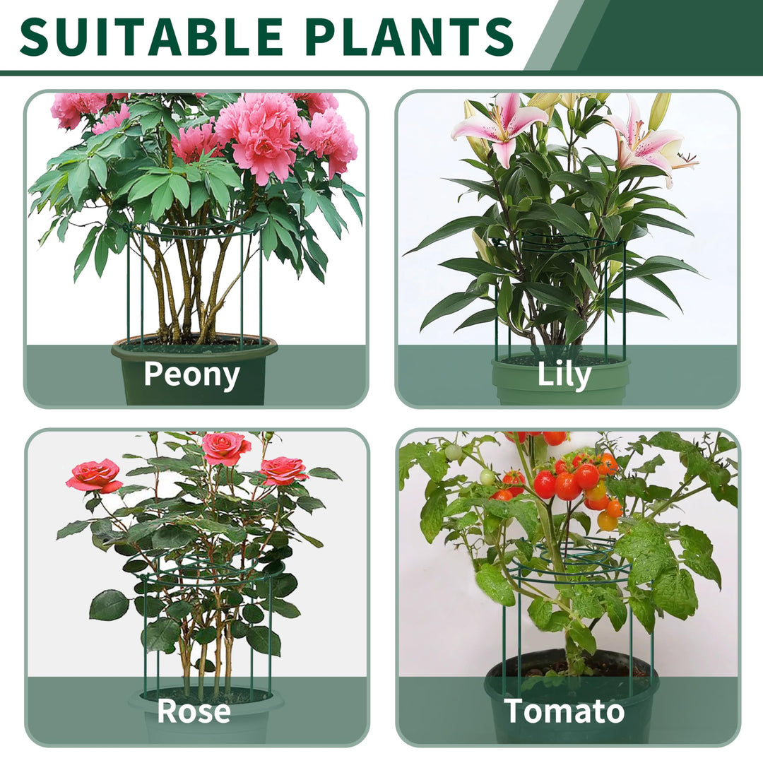 SYITCUN 4pack Peony Cages and Supports, 32” Four Legs Peony Cage, Heavy-duty Peonies Support Cages, Peony Ring for Roses, Hydrangeas, Sage, Peonies, Cucumbers, Tomato