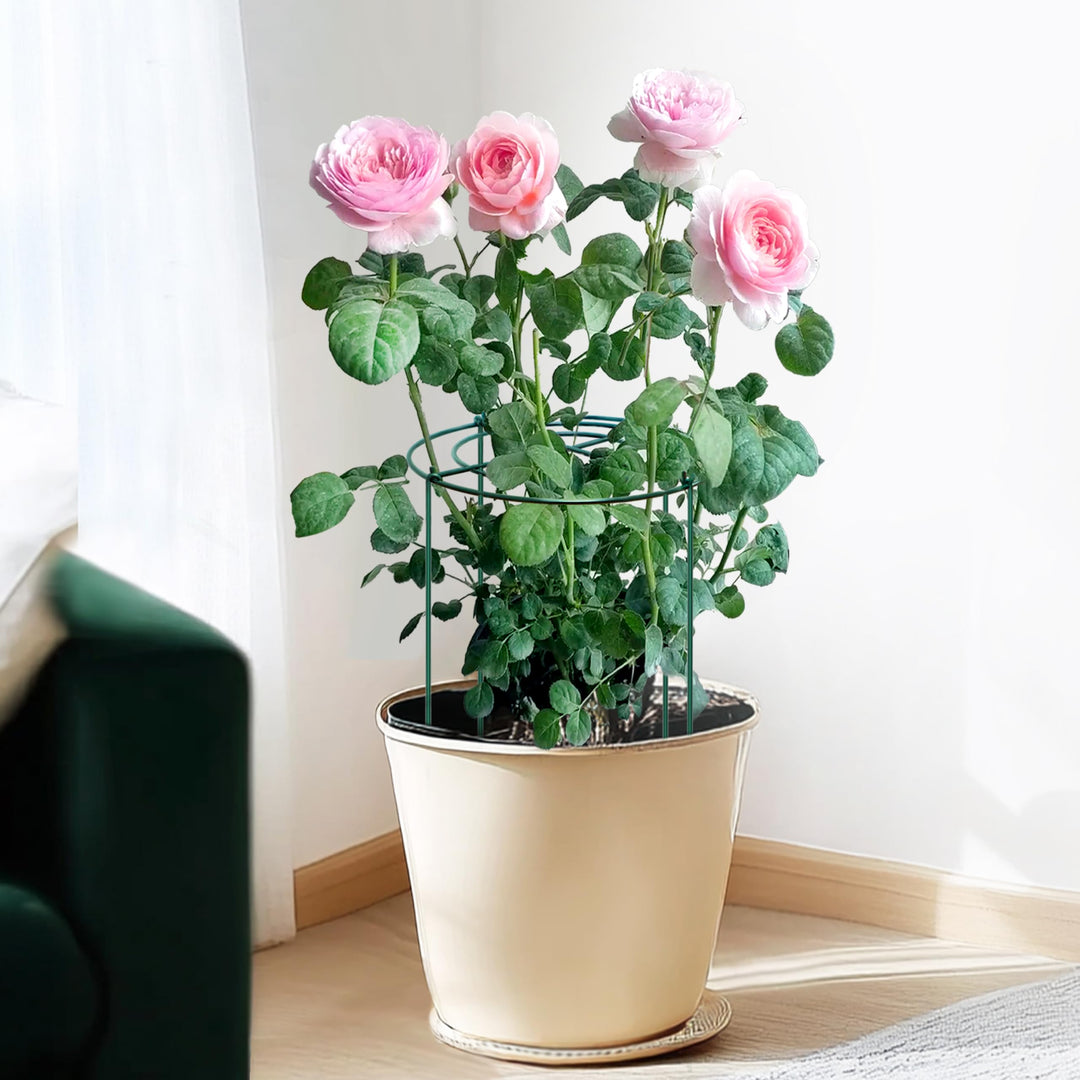 SYITCUN 4pack Peony Cages and Supports, 32” Four Legs Peony Cage, Heavy-duty Peonies Support Cages, Peony Ring for Roses, Hydrangeas, Sage, Peonies, Cucumbers, Tomato