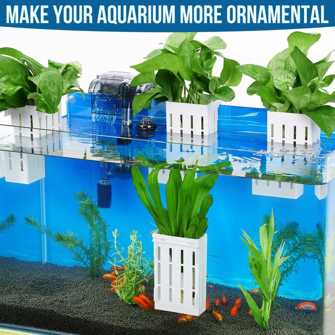 Upgraded Aquarium Plant Holder with Hooks and Suction Cups for Fish Tank Aquaponic Plants Cultivation and Aquascape Decorations (White)