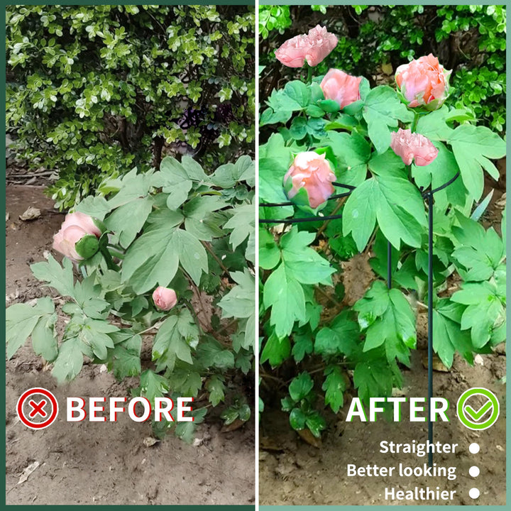 SYITCUN 4pack Peony Cages and Supports, 32” Four Legs Peony Cage, Heavy-duty Peonies Support Cages, Peony Ring for Roses, Hydrangeas, Sage, Peonies, Cucumbers, Tomato