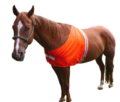 Dog Not Gone Visibility Products Safety Horse Vest - Metta Home and Technologies