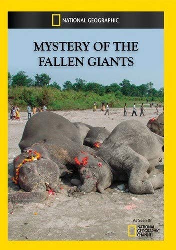 Mystery of the Fallen Giants [Import] - Metta Home and Technologies