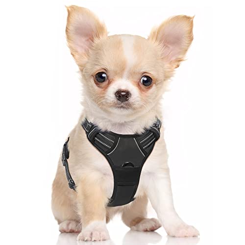 rabbitgoo Dog Harness, No-Pull Pet Harness with 2 Leash Clips, Adjustable Soft Padded Dog Vest, Reflective No-Choke Pet Oxford Vest with Easy Control Handle for Large Dogs, Classic Black (S, Chest 15.7-27.6") - Metta Home and Technologies