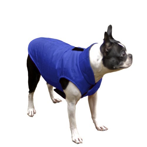 Scooter's Friends Puffy Dog Coat - Metta Home and Technologies